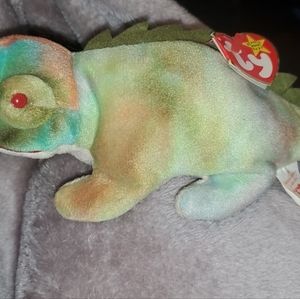 Iggy original beanie baby